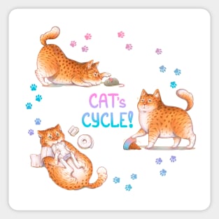 Cat's Cycle (Pink Blue) Sticker